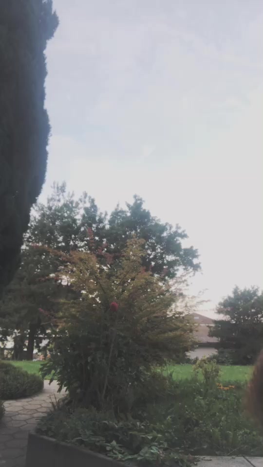 @isabella200097