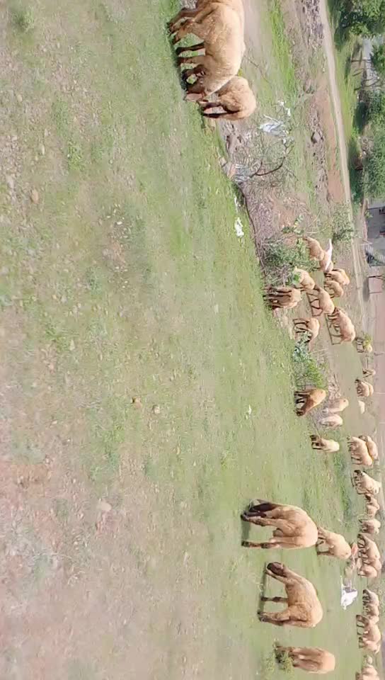 @KAMLESH RABARI