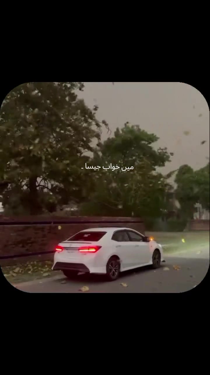 @pashtoon vibes