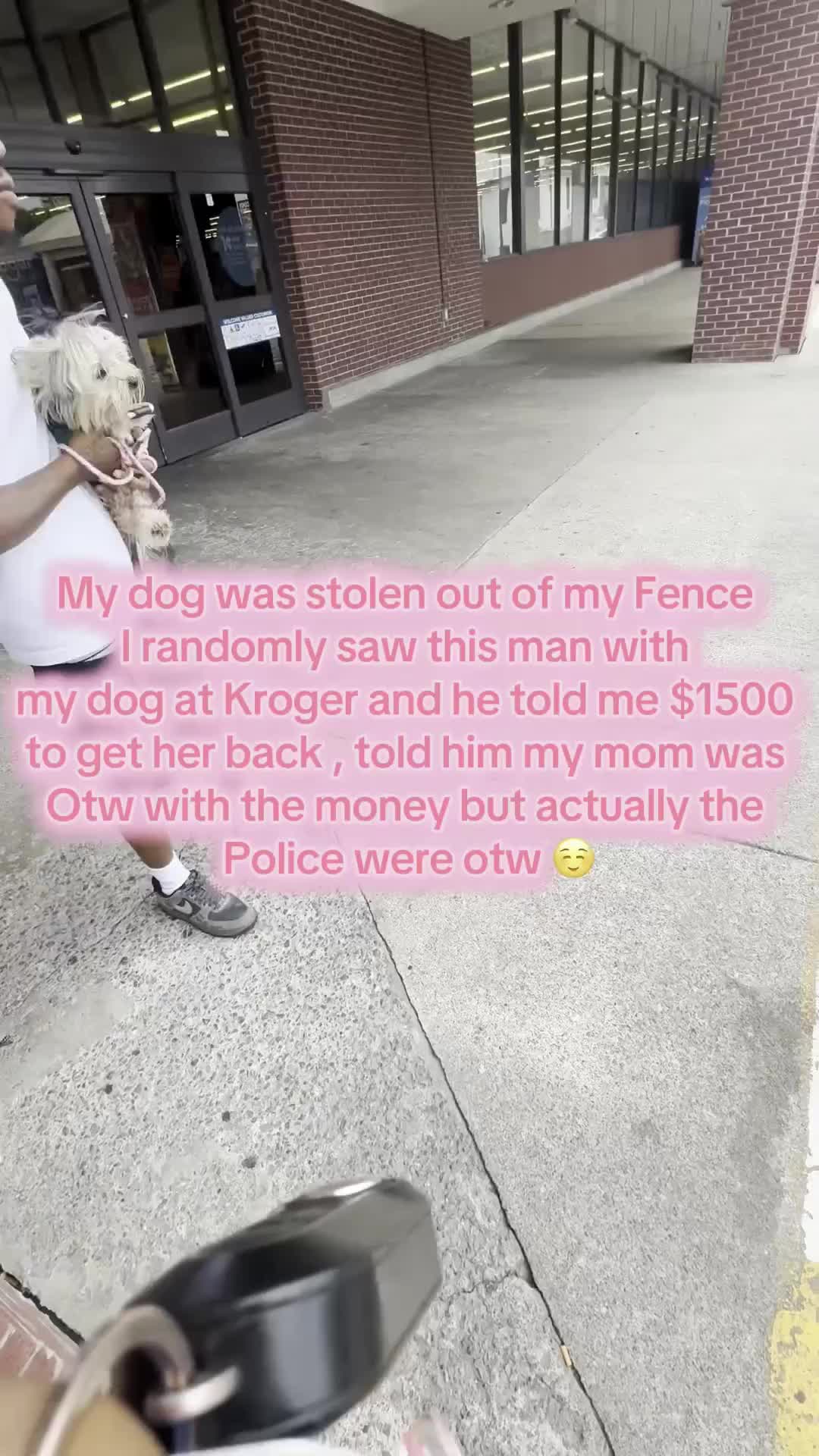 @Go Fetch