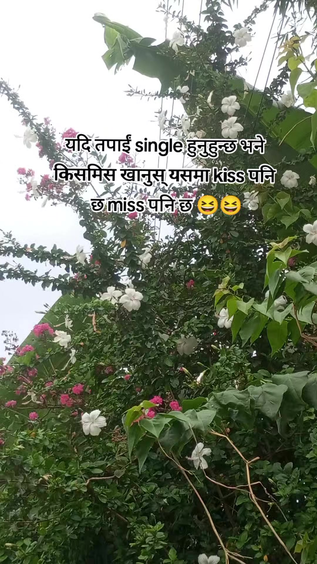 @Kaushal karki