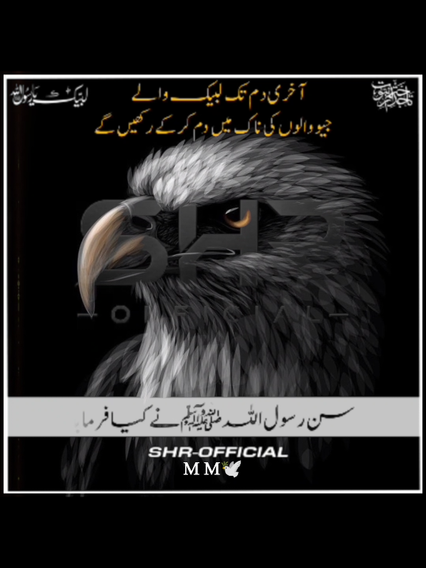 @SHR - OFFICIAL