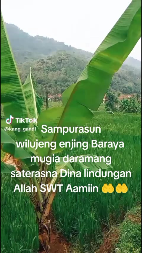 @Doni R