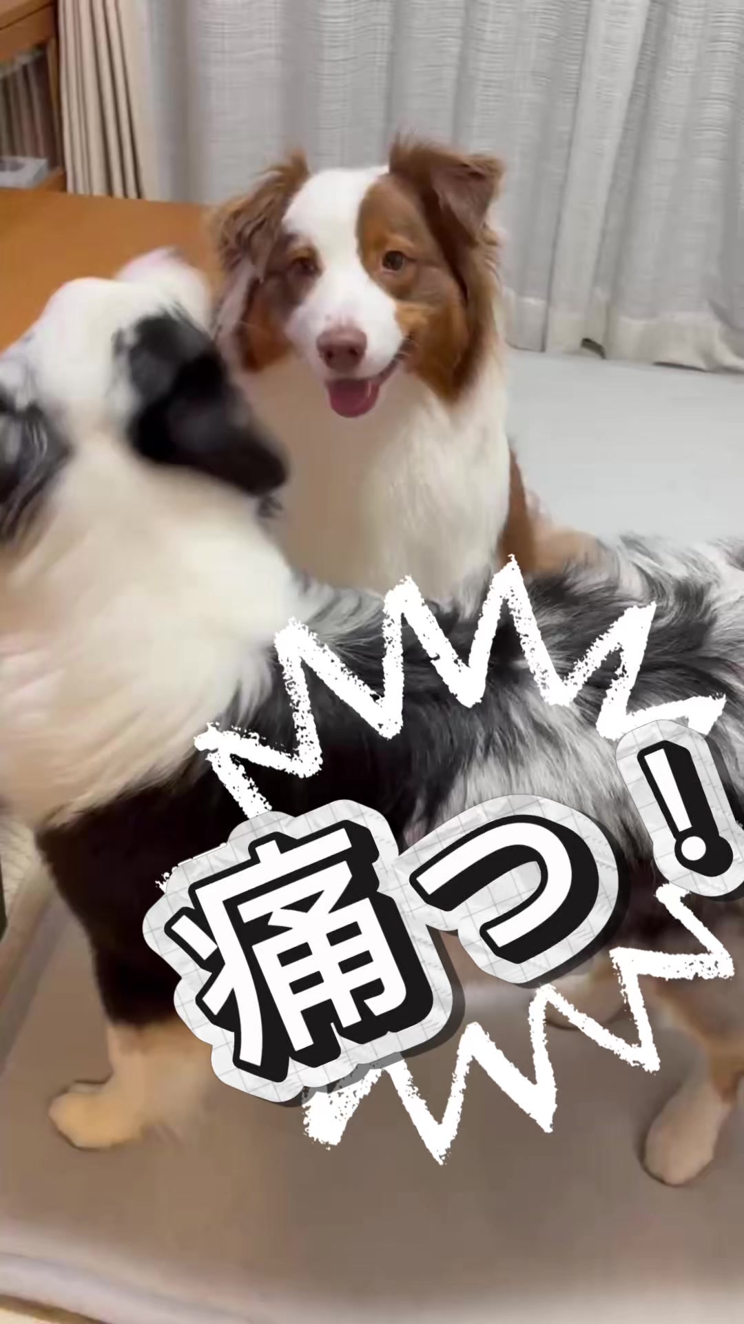 @サン&タマ