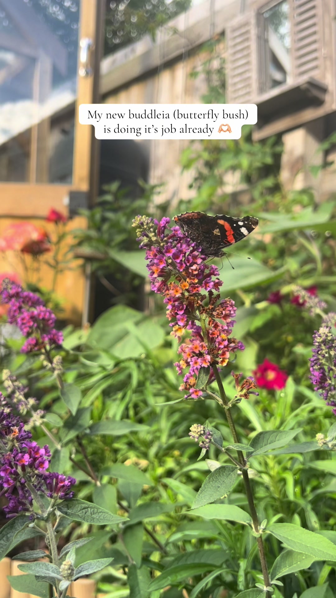 @Diary of a Yorkshire Gardener
