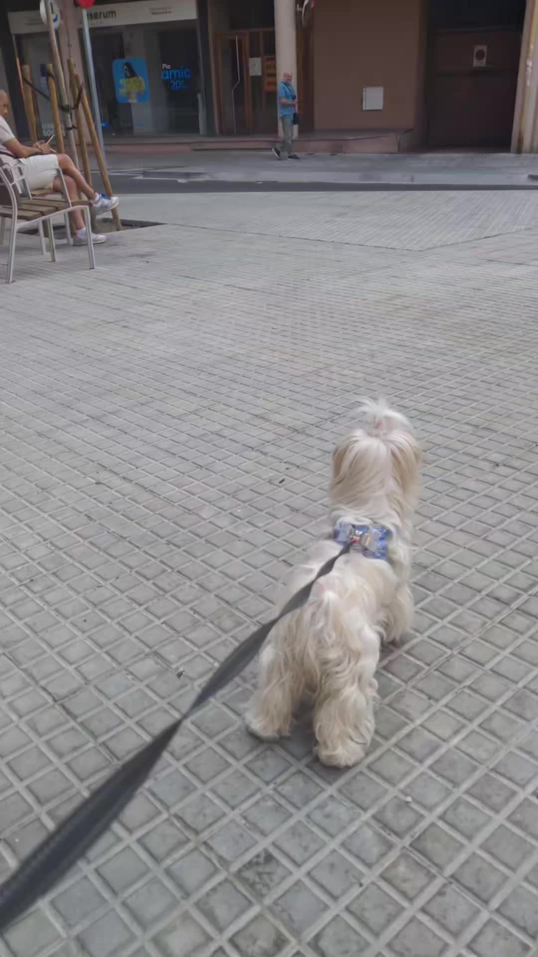 @Imma Salsamora.