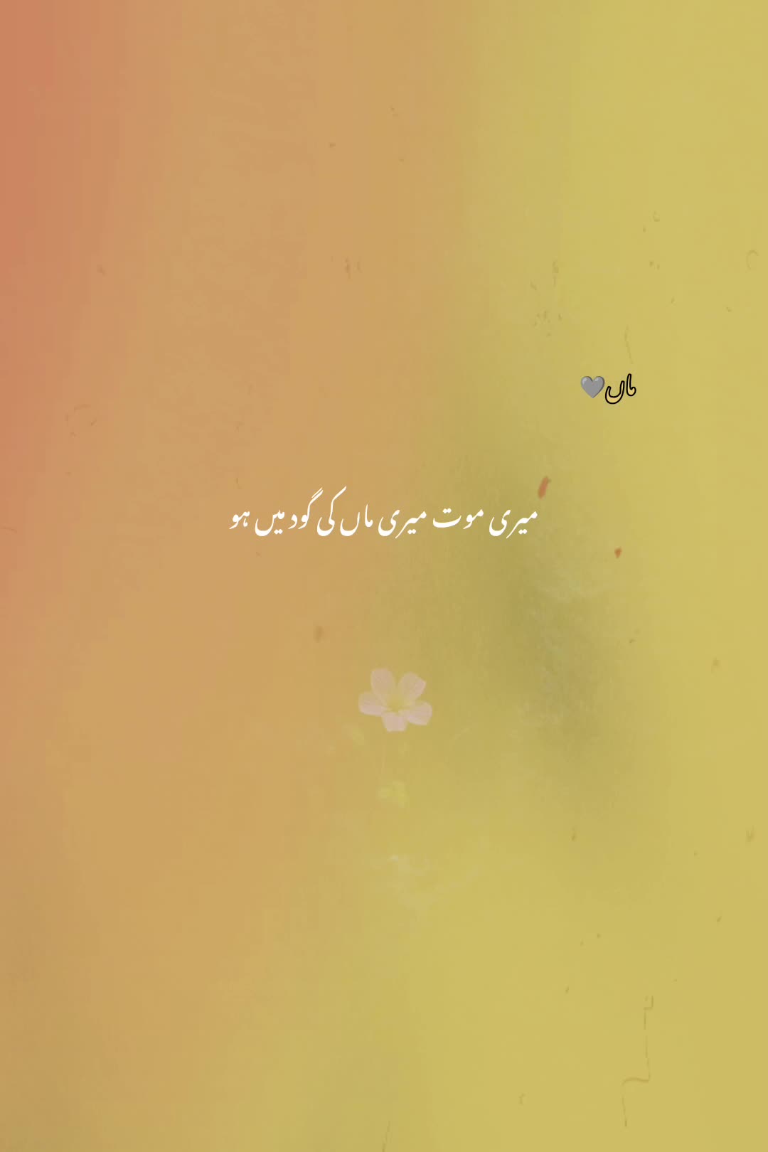 @α૨❍❍ꪮ 🐾
