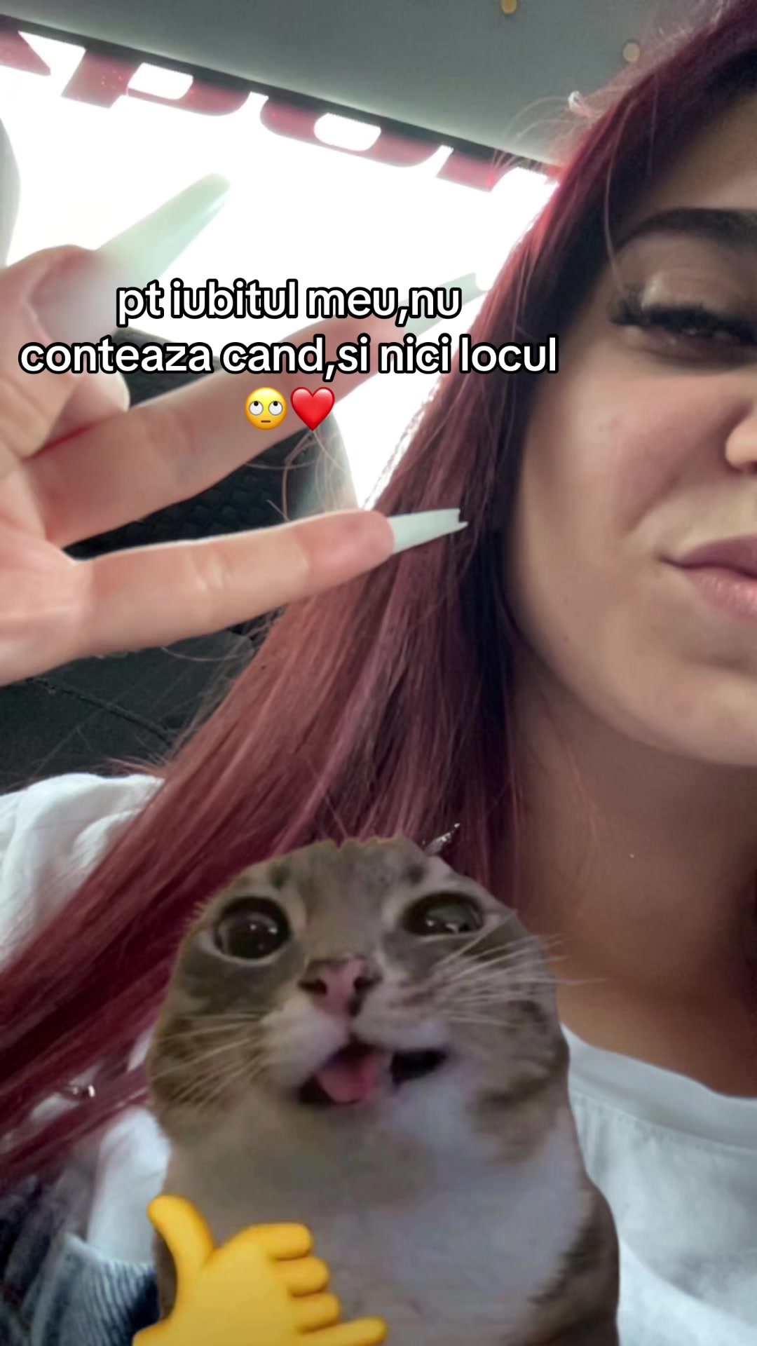 @Raysa🌪️