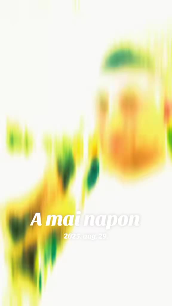 @Kov&aacute;cs &Aacute;d&aacute;m