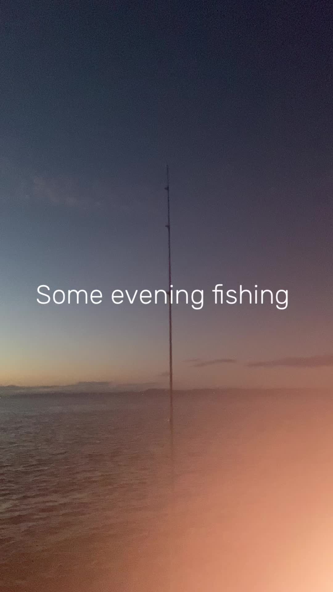 @alfie_fishes_