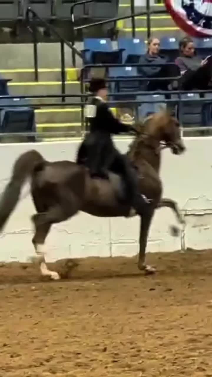 @saddleseat_4life