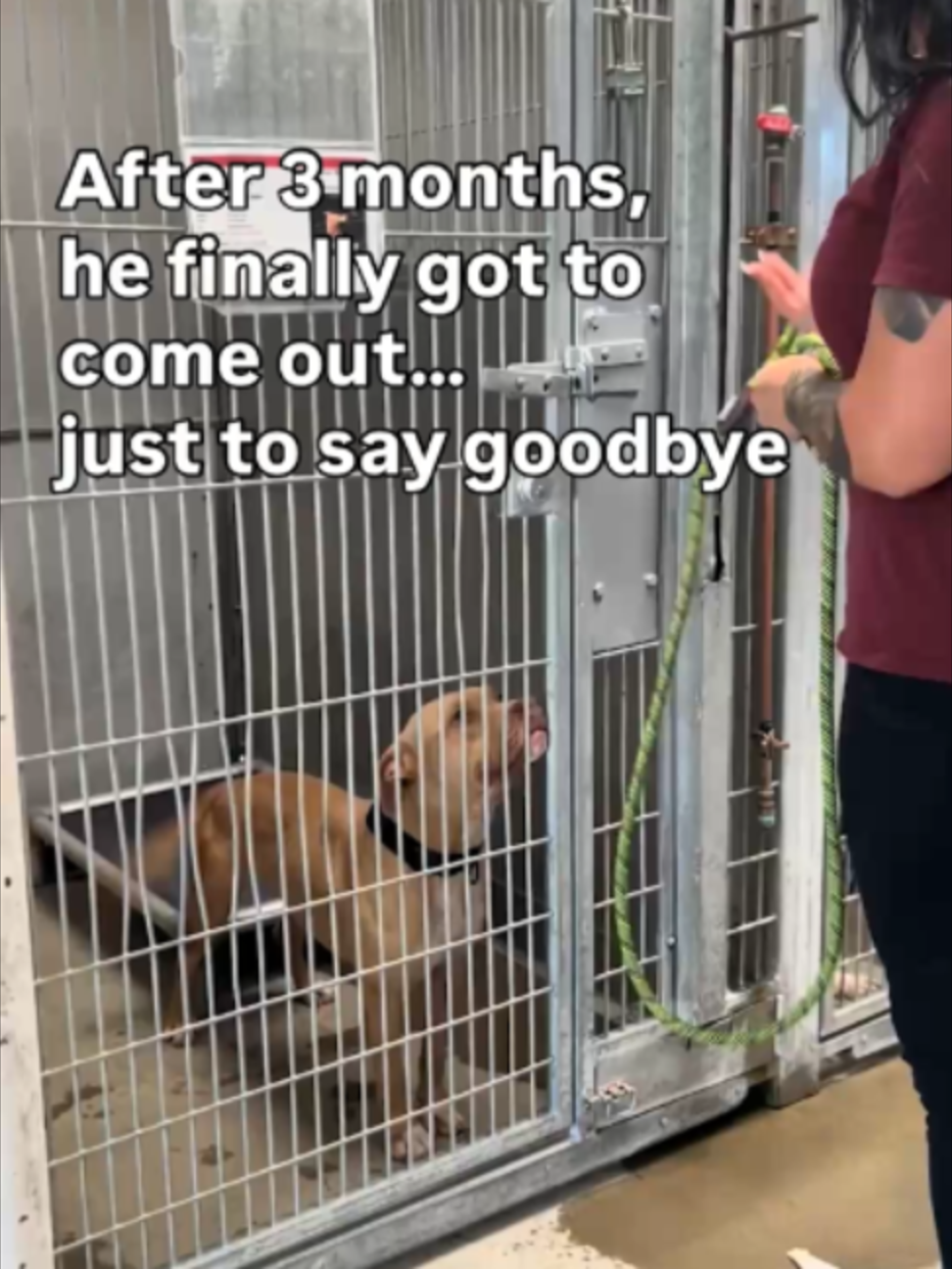 @Go Fetch