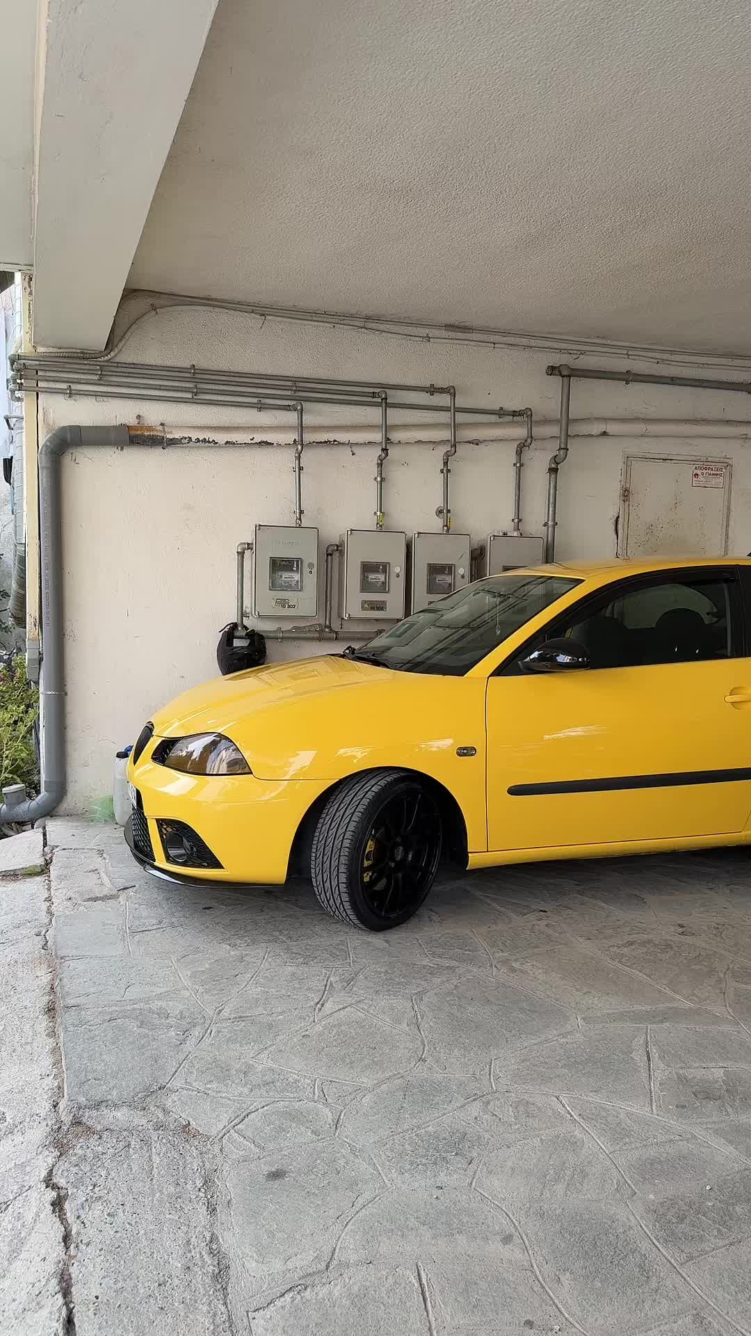 @Πεδινός Βαγκιτης