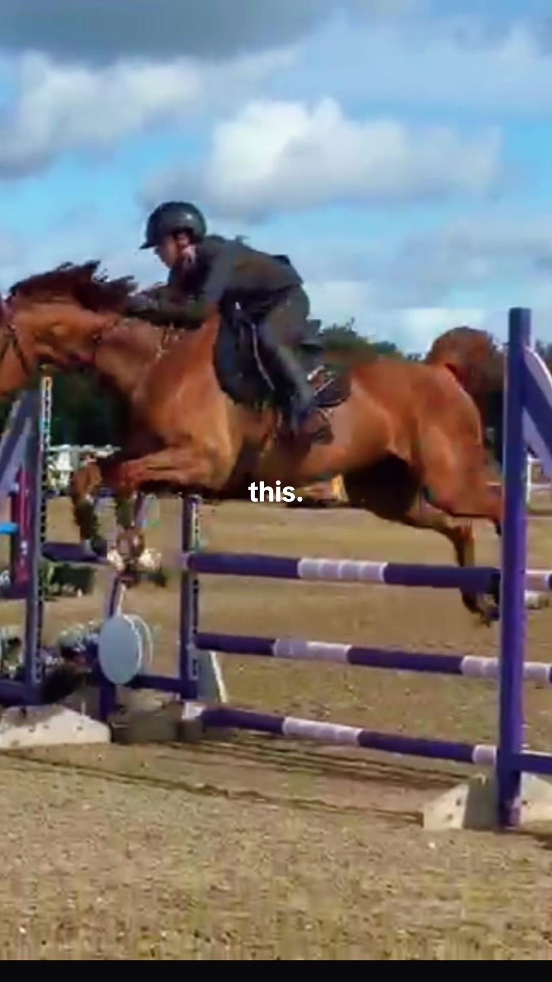 @Ronnie moore's showjumping