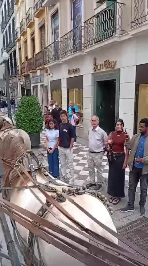 @eltorerillo0