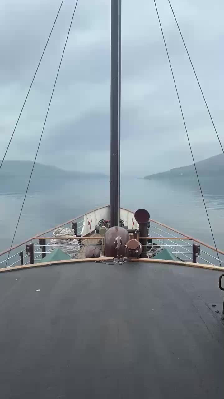 @Paddle Steamer Waverley