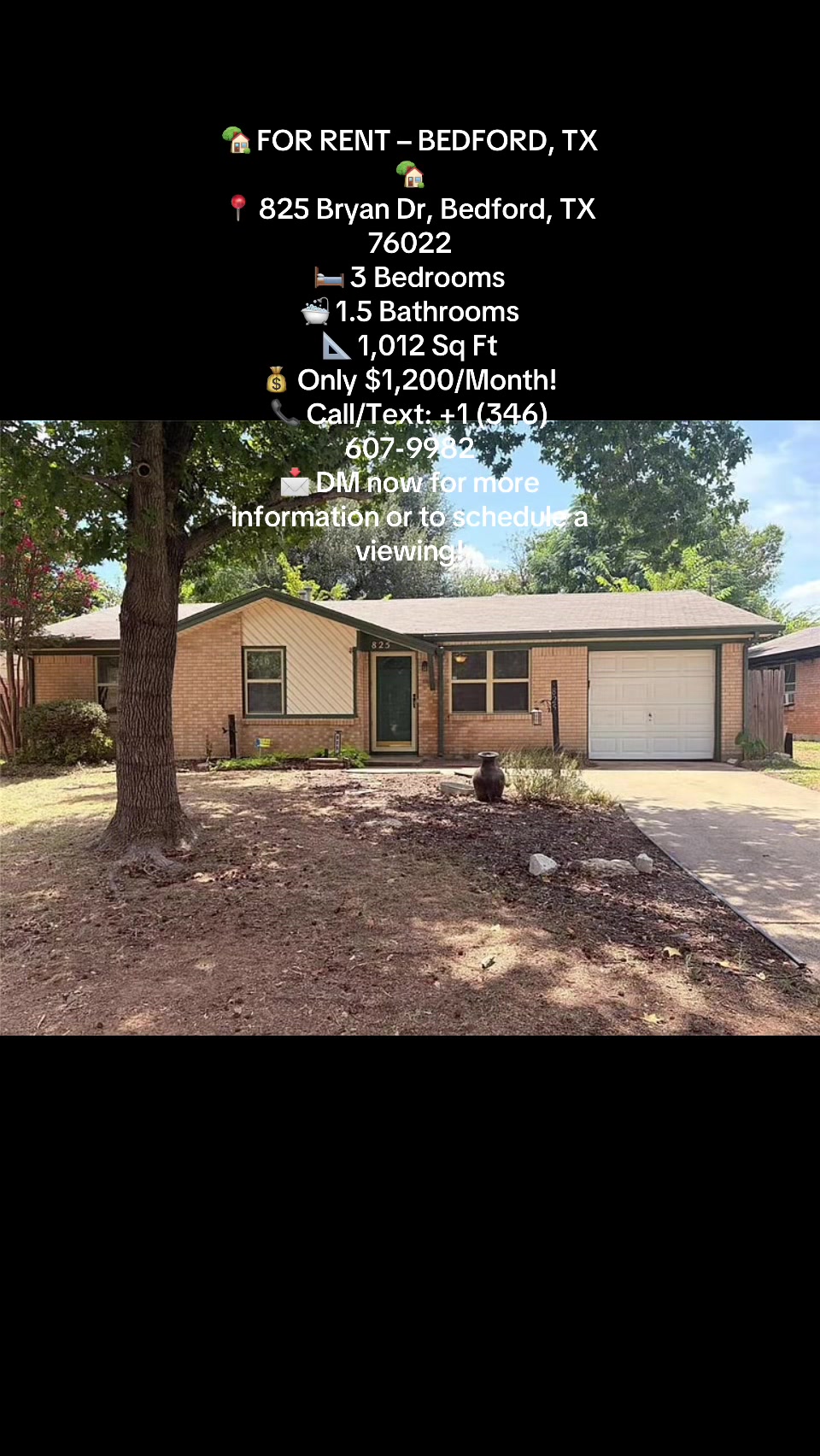 @lowbudget house rent