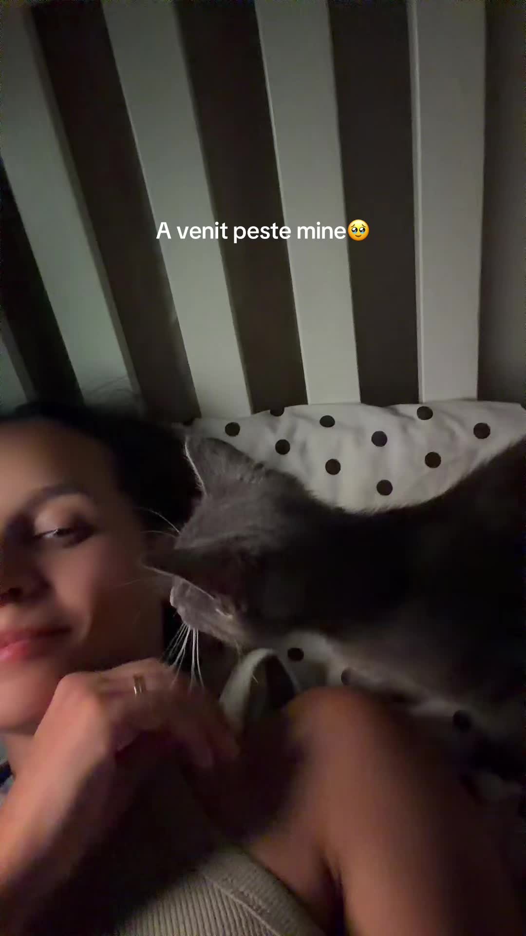 @andree.nona