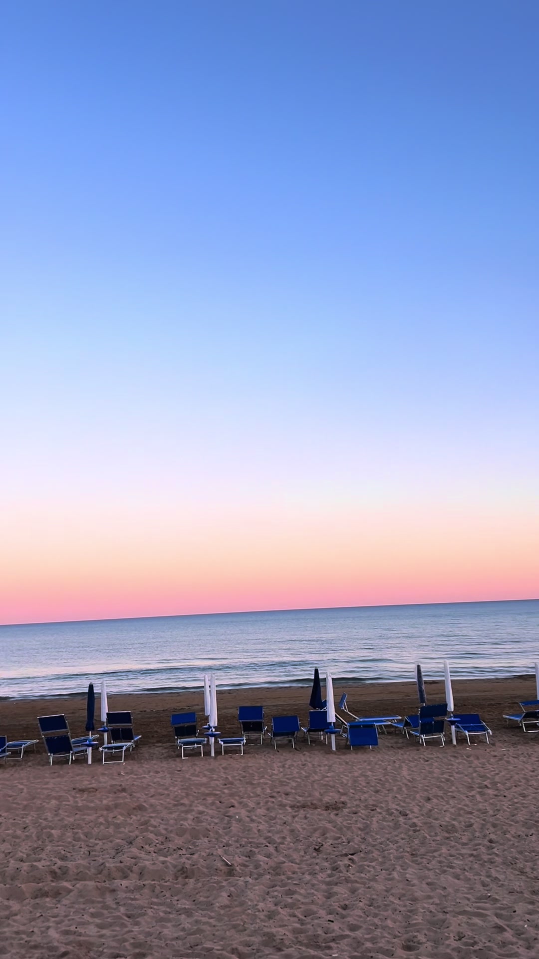 @Rosy Bellomare