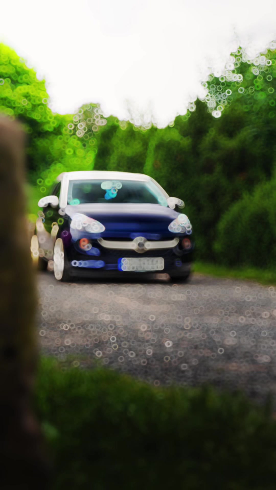 @Bluewhite_opel_adam