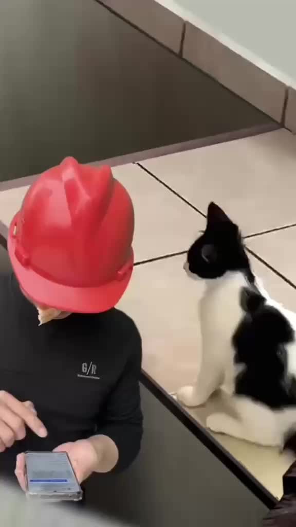 @Funny