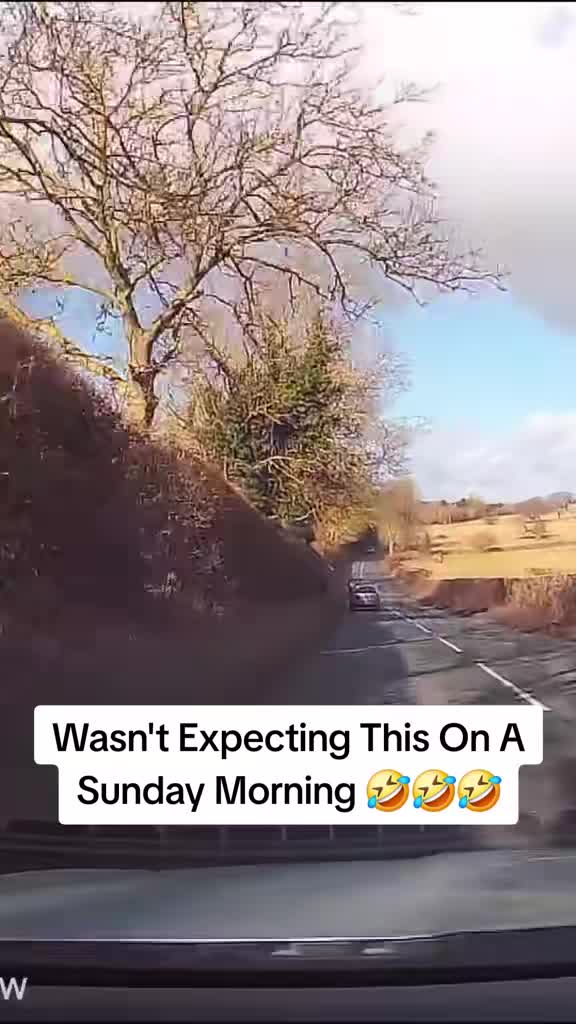 @Dashcam Videos