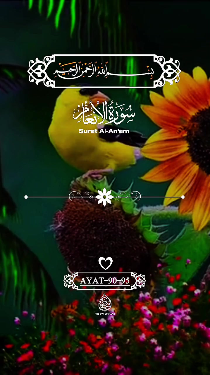 @🦋𝓝ᴏᴏʀᴜʟᴀɪɴ🕊
