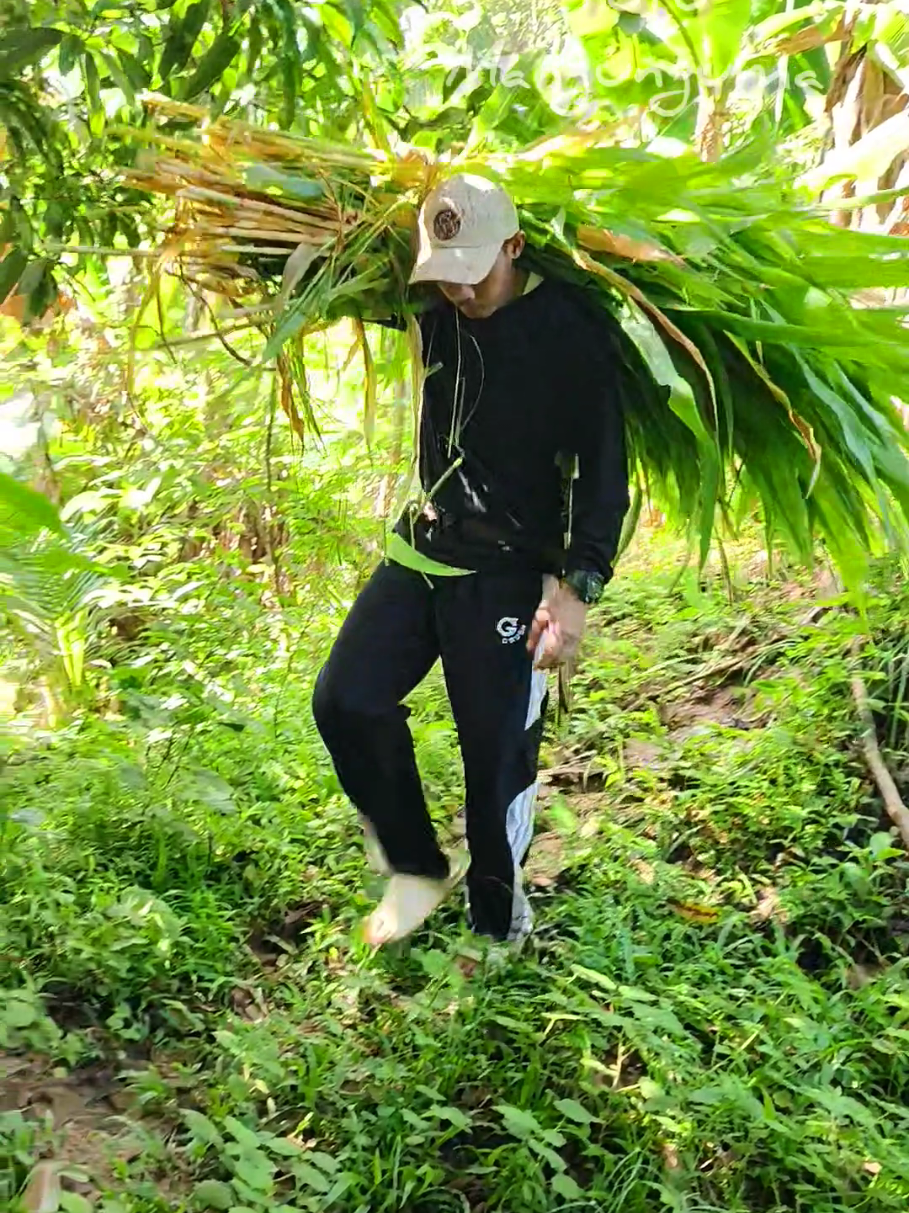 @💚Toto Mangunguma Unboxing💚