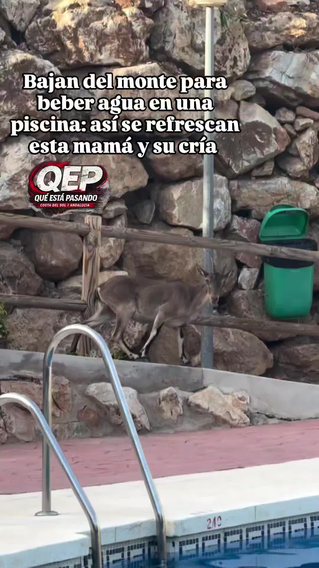 @Qu&eacute; est&aacute; pasando | M&aacute;laga
