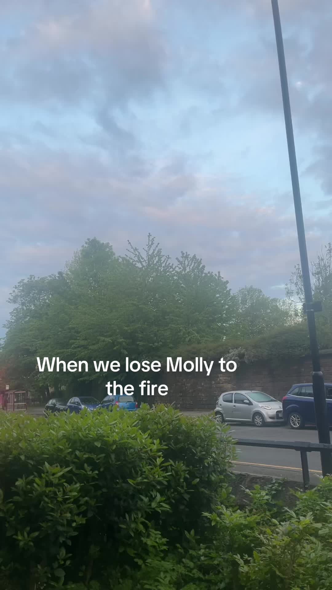@dutty3.1