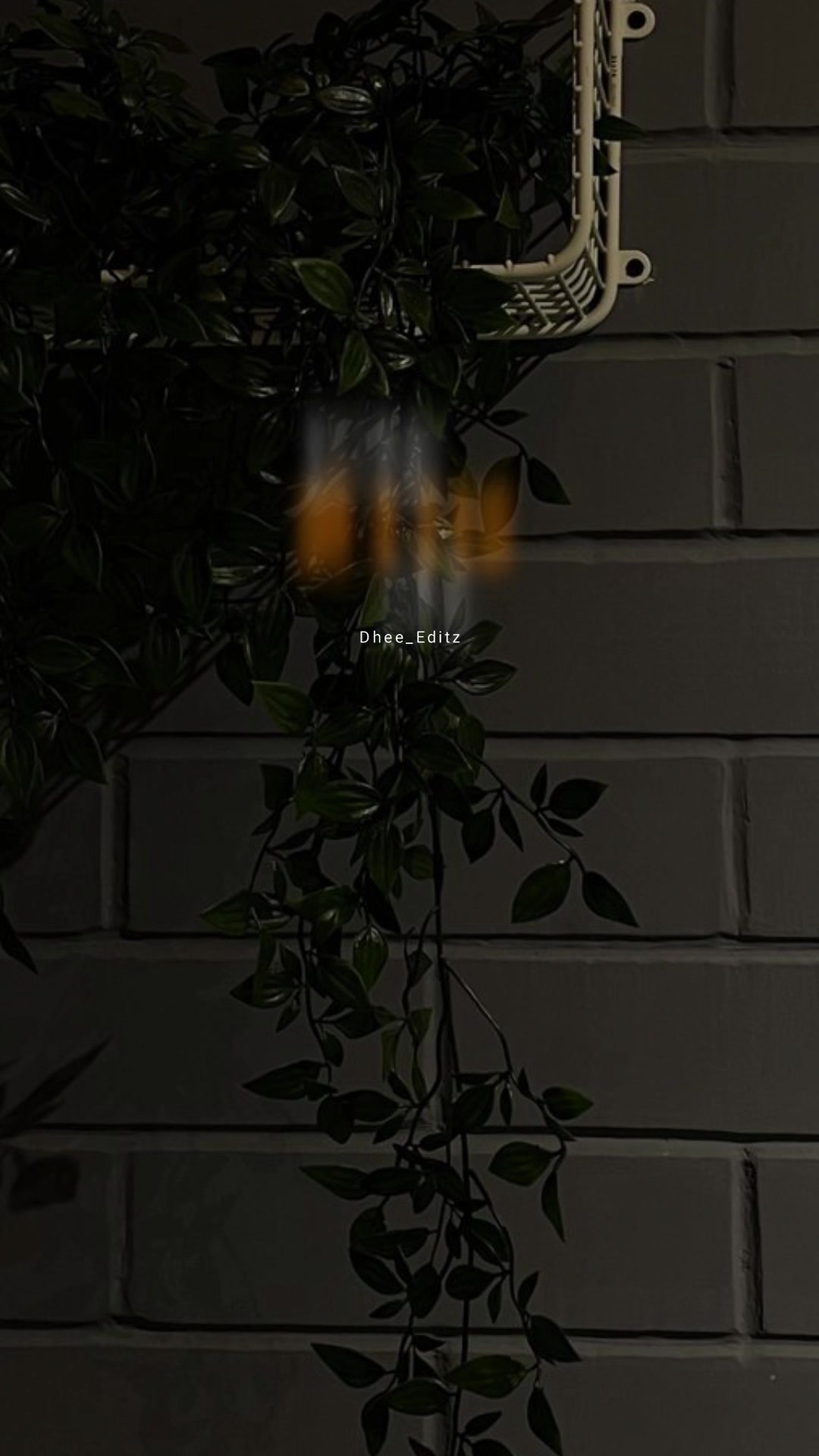 @𝐃𝐡𝐞𝐞_𝐄𝐝𝐢𝐭𝐳 ❤️&zwj;🩹