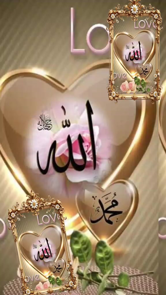 @Hina Malik