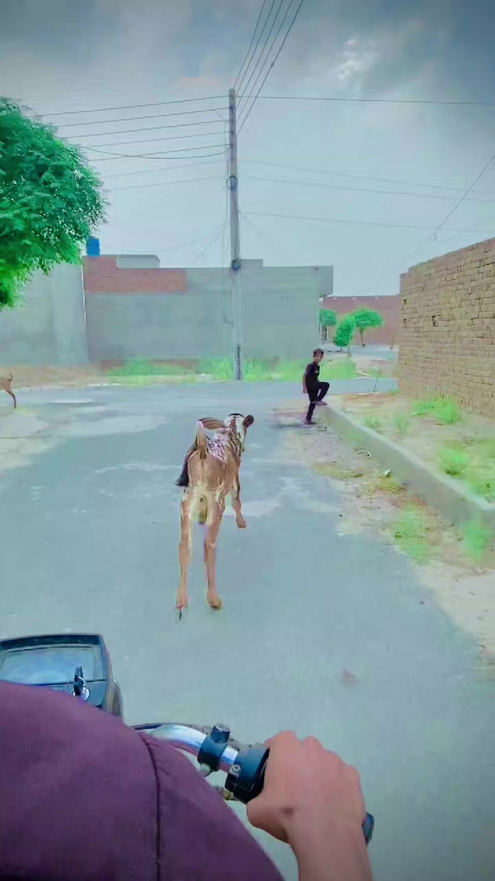@💥Hamza Shikari 🔥