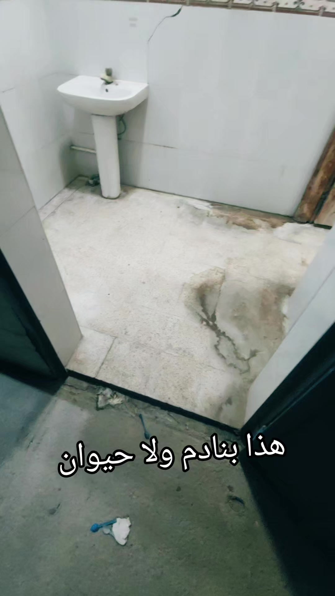 @oussamamilano439