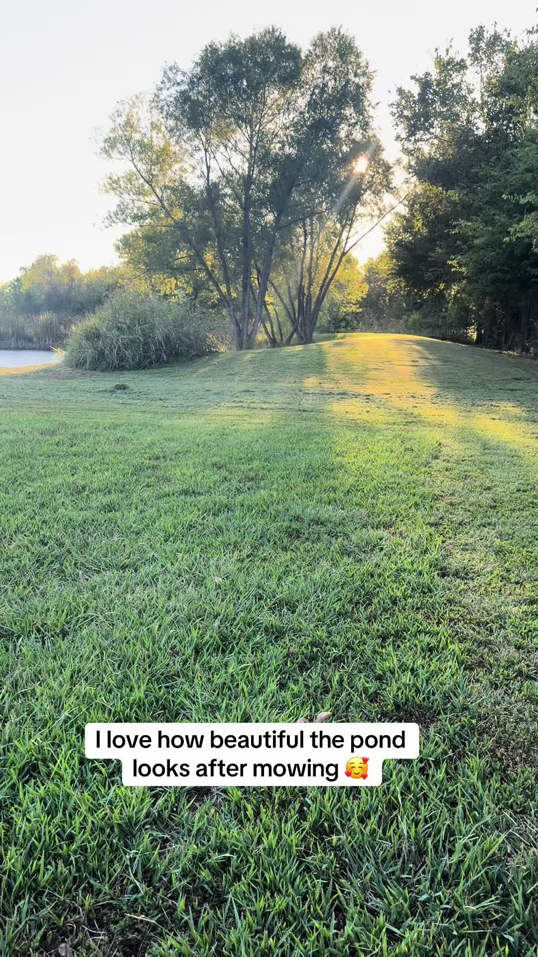 @NonniesFunnyFarm