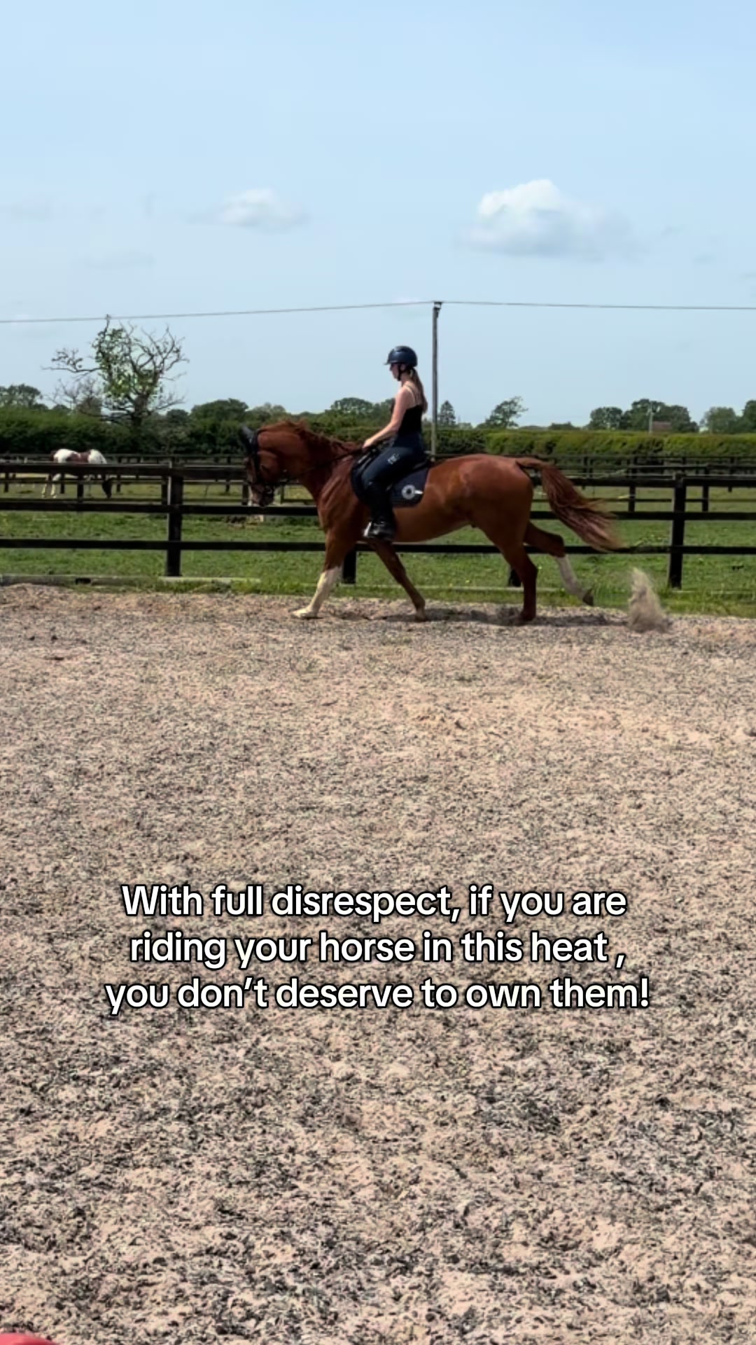 @Lilly & Bruno 🐴