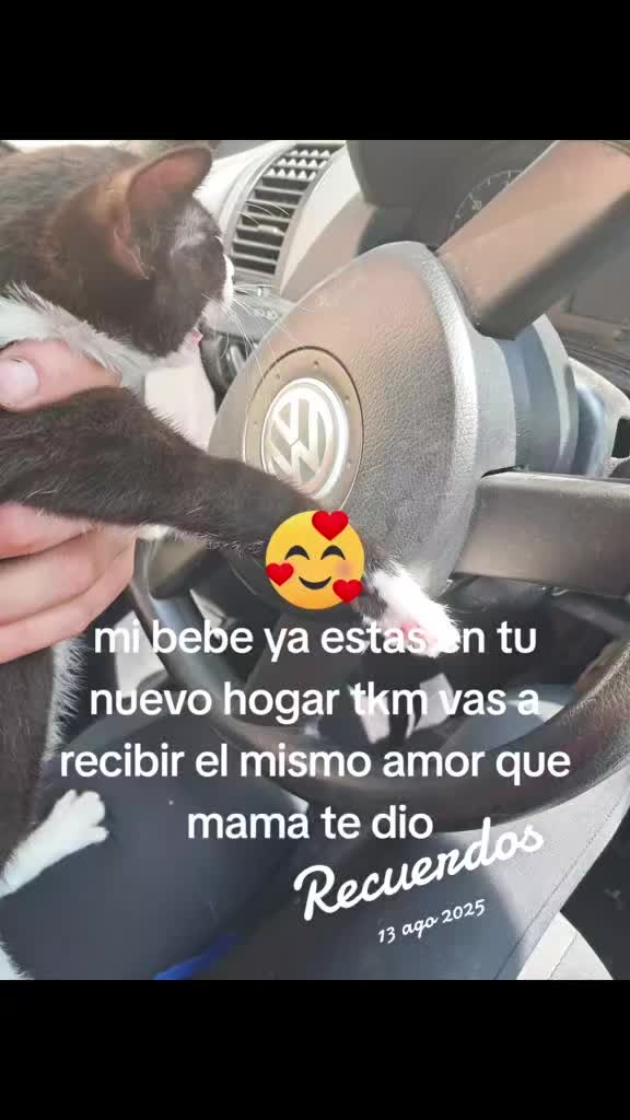 @Vero Jimenez Ferrer