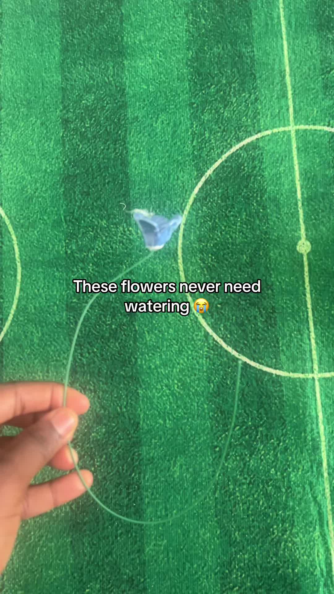 @⚽️
