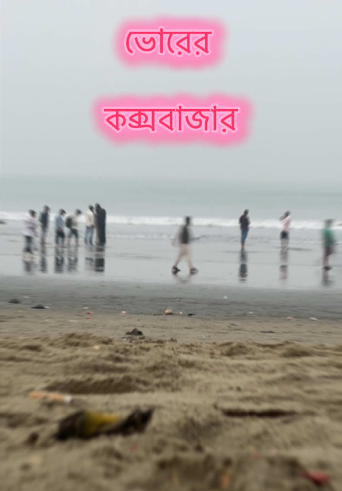 @Lihan Talukder