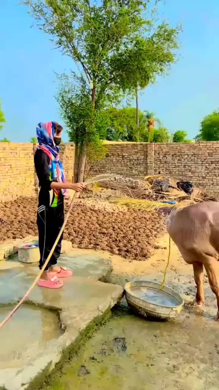@aimamalik