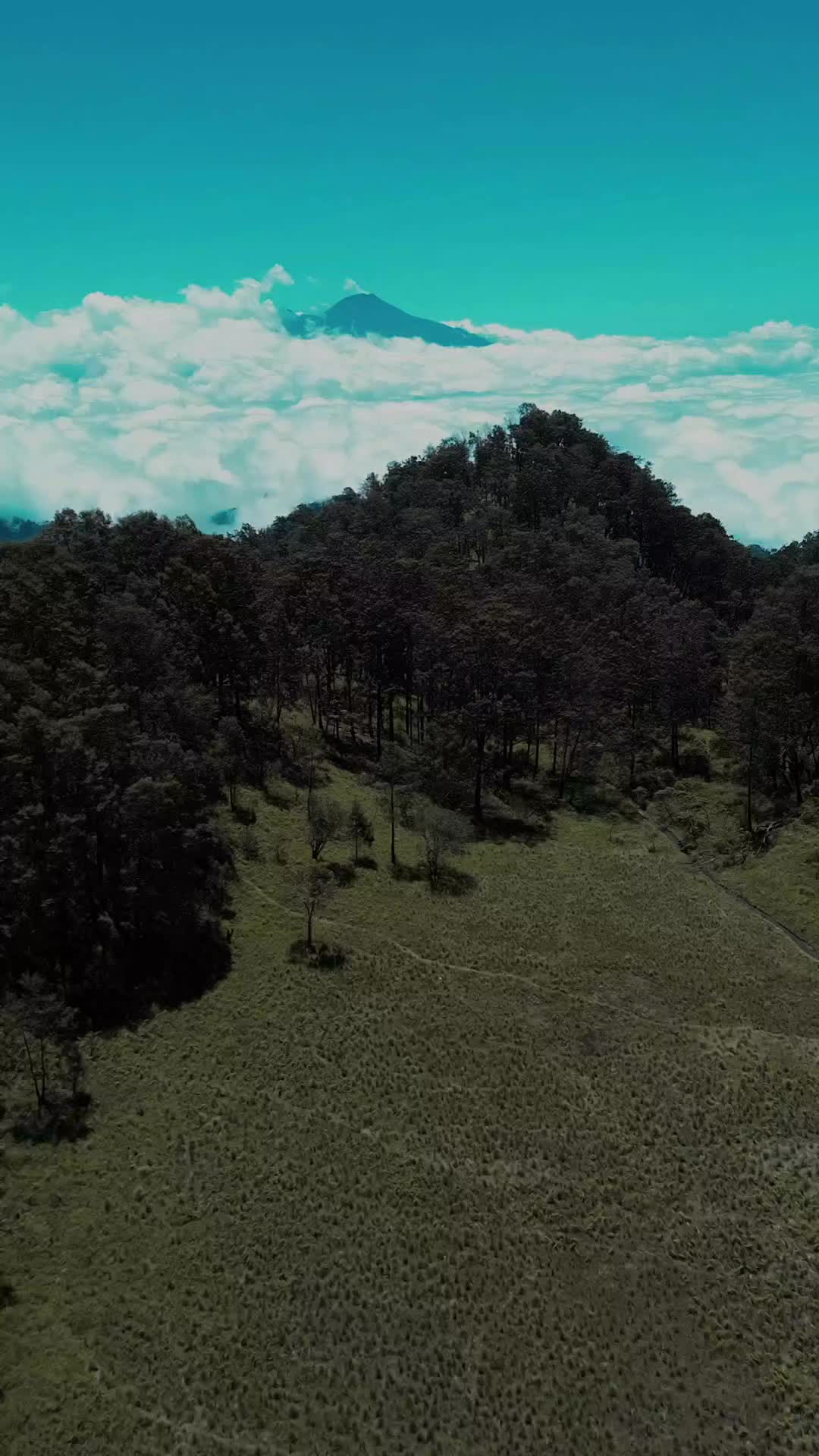 @B_Aja.