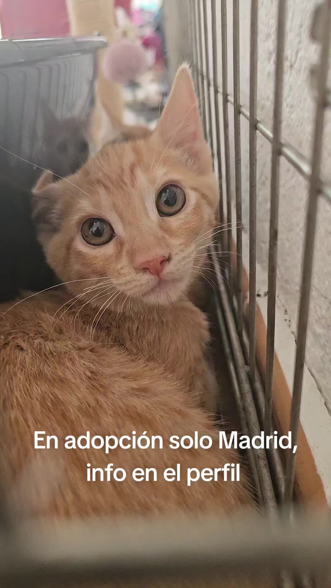 @Ronporsiempre
