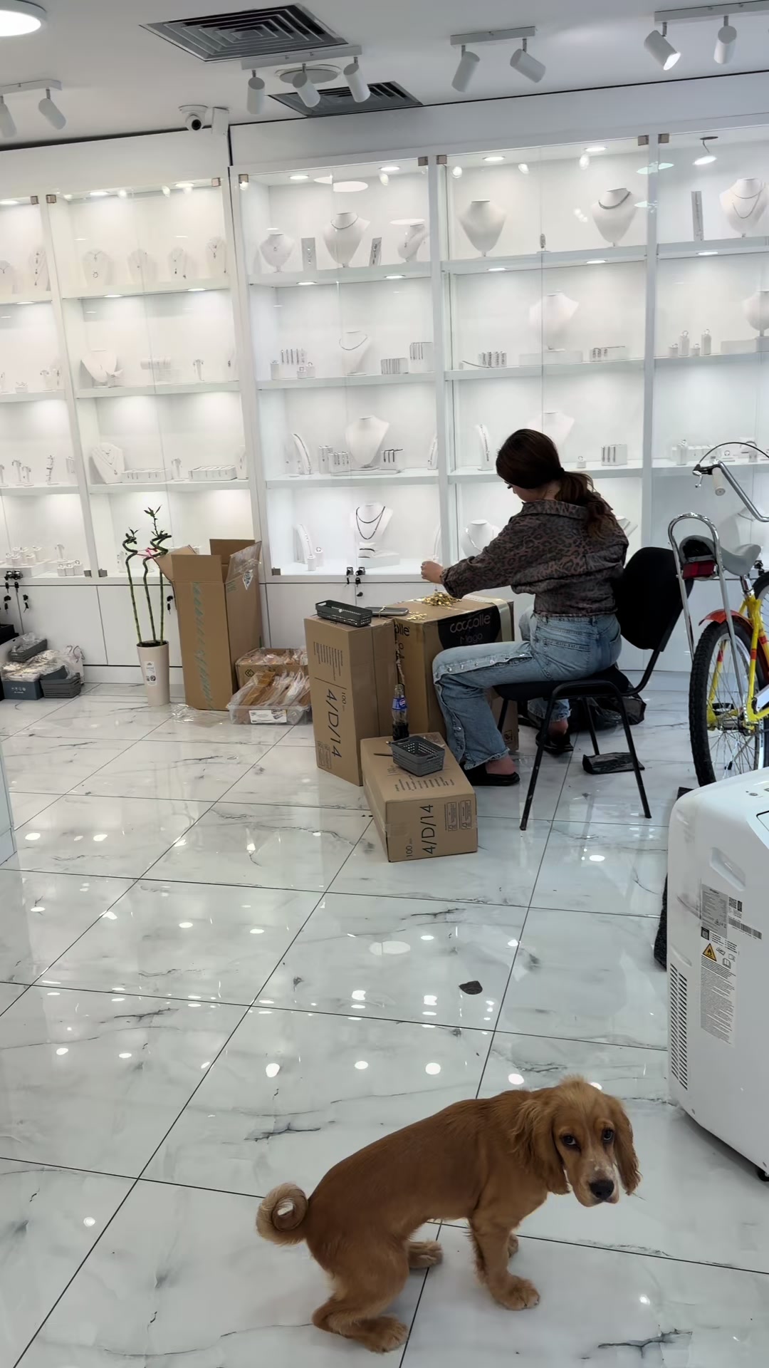 @Ice Concept România