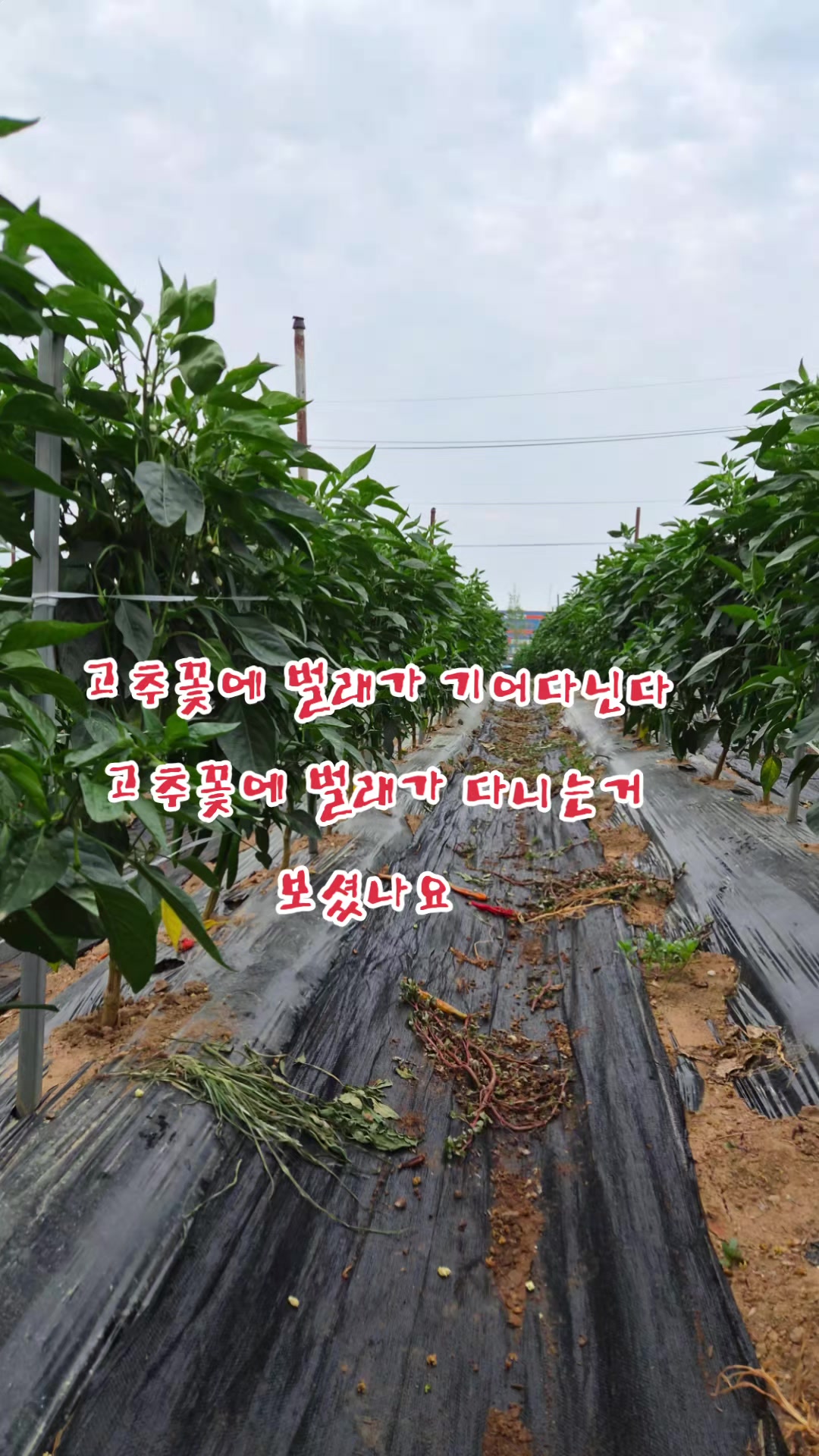 @๐ฐ๐ท๐์ก์ฐํฌ๋์ธ๋๐๐ฐ๐ท