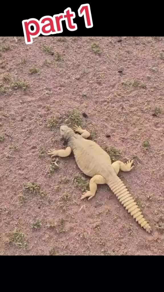 @🇳🇵Iliyas786🇲🇾+🇰🇼