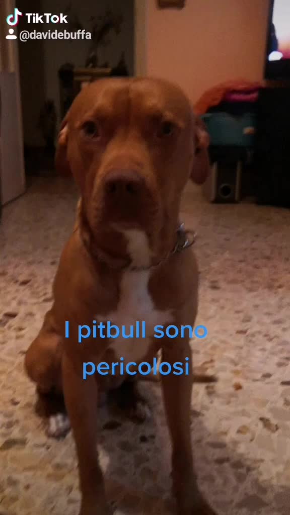 @Davide Buffa