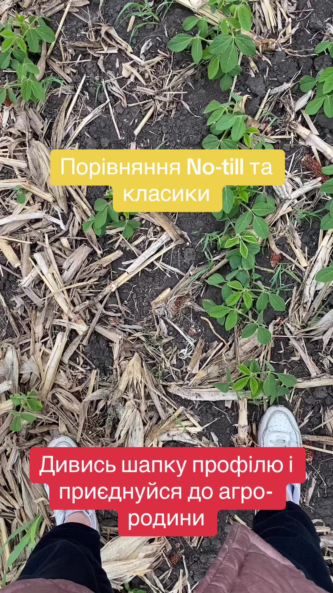 @agro_ua