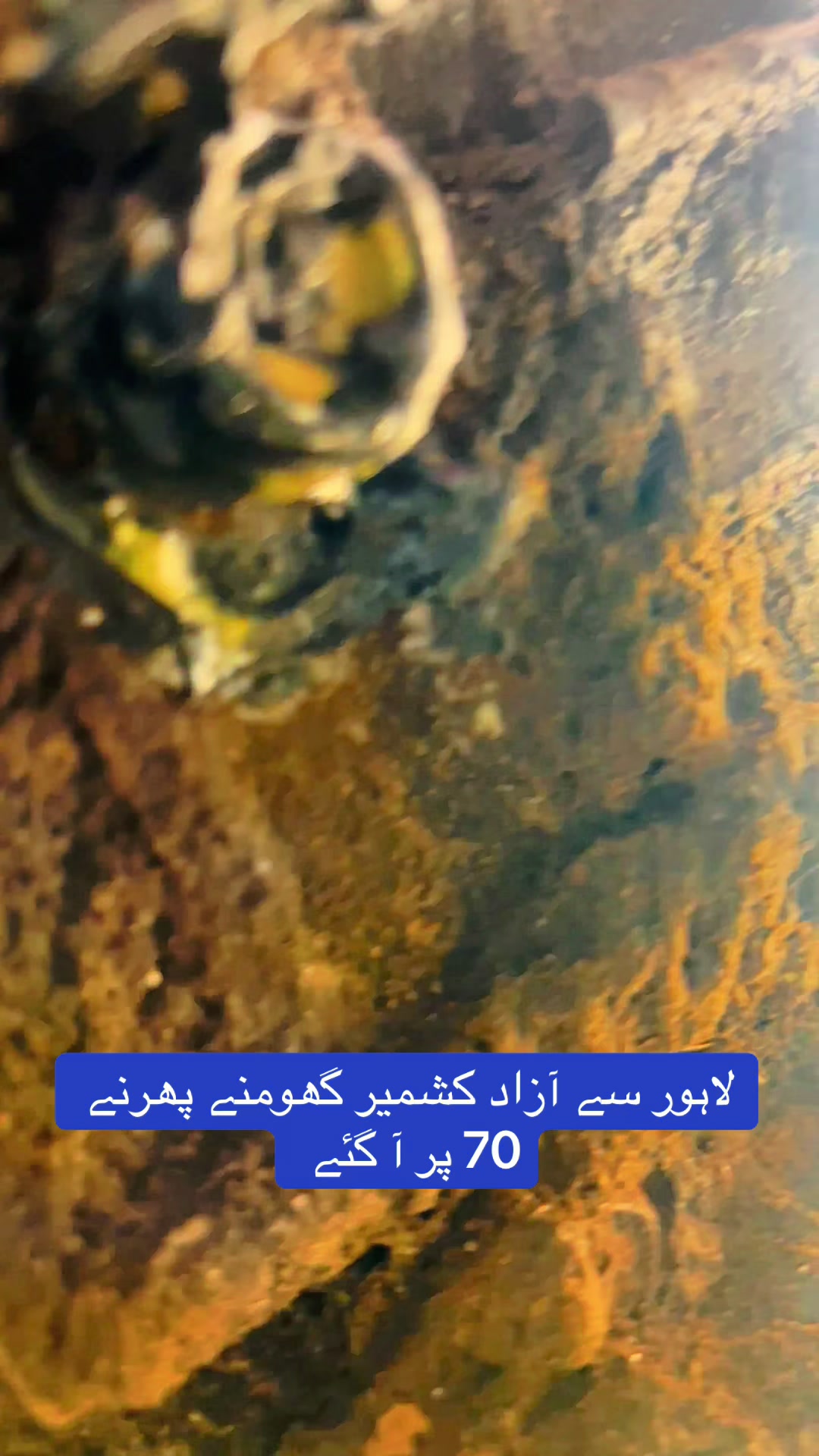 @Honda workshop officials