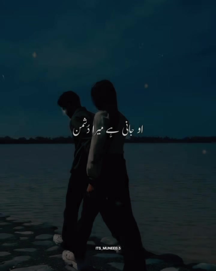 @Muneeb Jutt | Vibe Lyrics 🎧