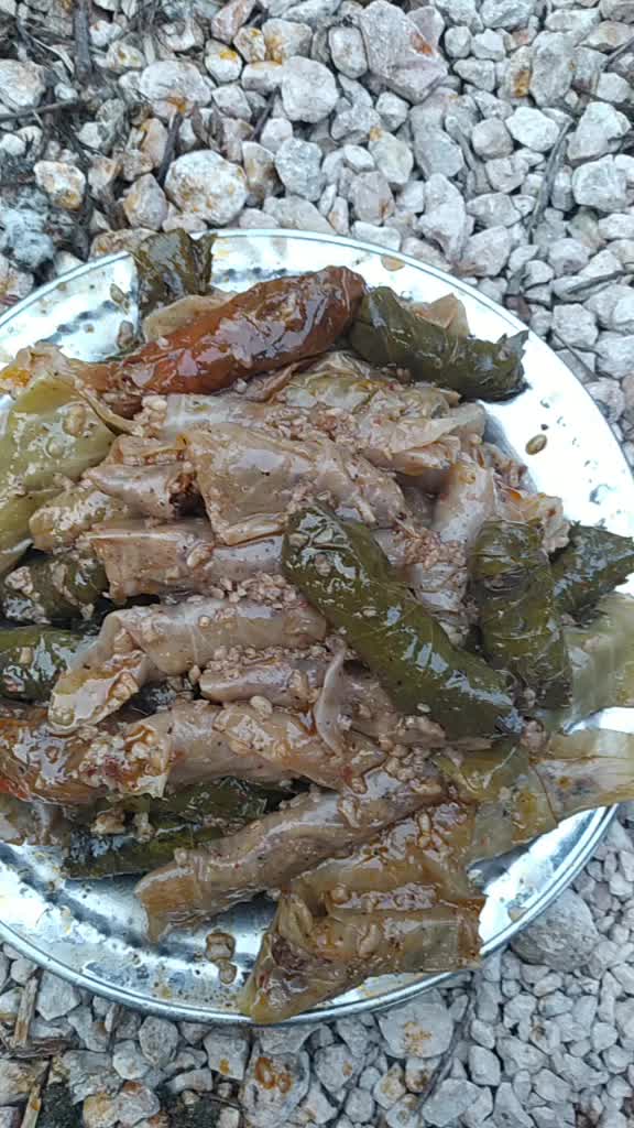 @&Ouml;mer abu enes